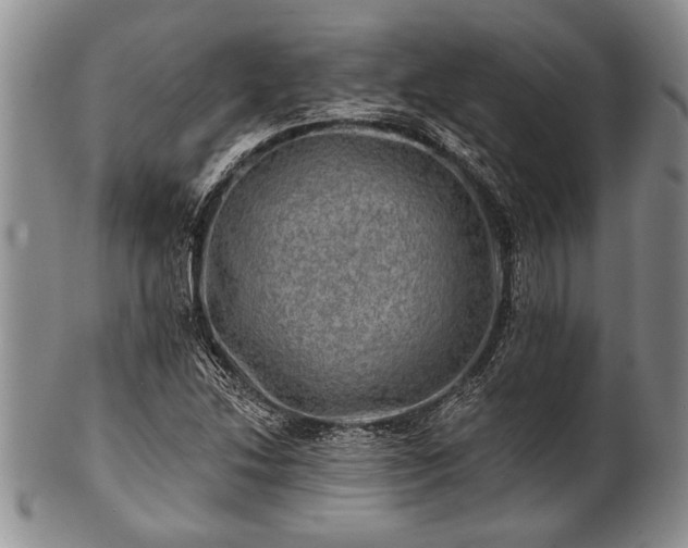 X0000100781214200806261621