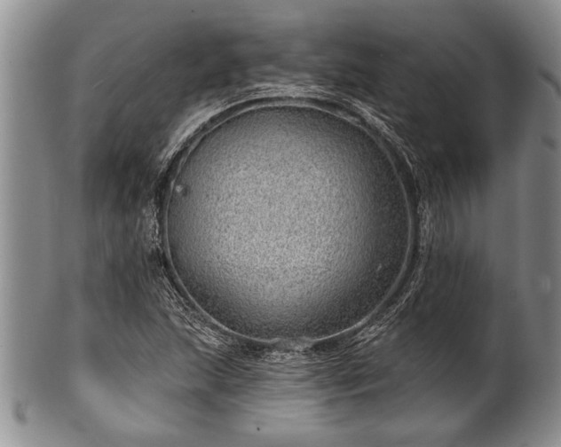 X0000100781215200806261621