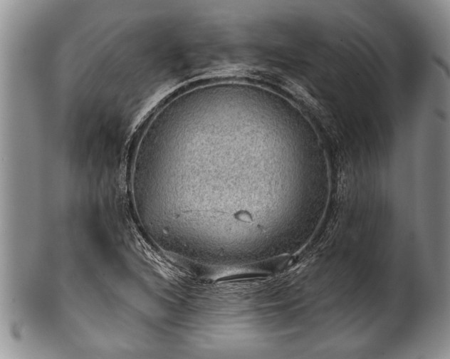 X0000100781216200806261621