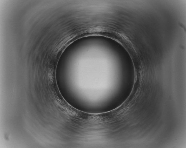 X0000100781217200806261621