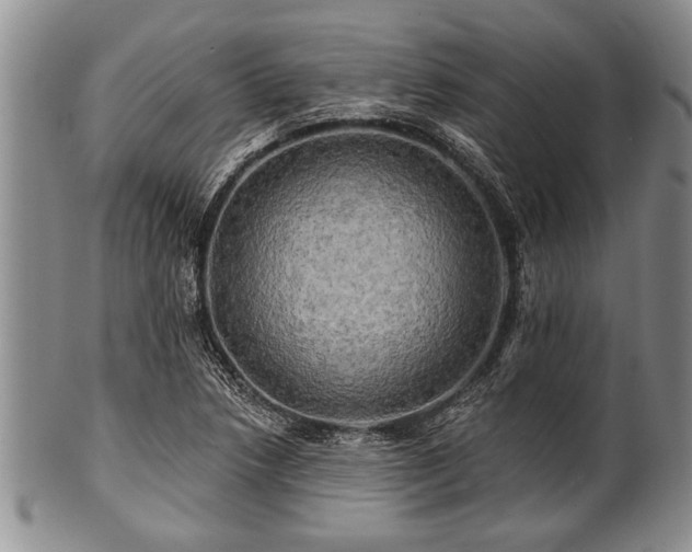 X0000100781218200806261621