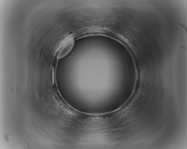 X0000100781219200806261621