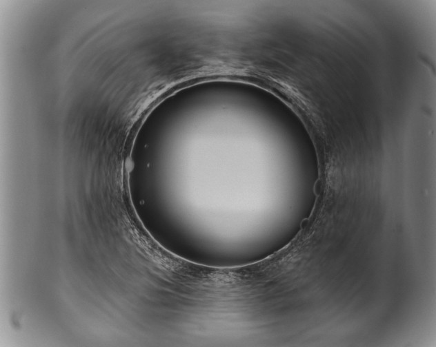 X0000100781220200806261621