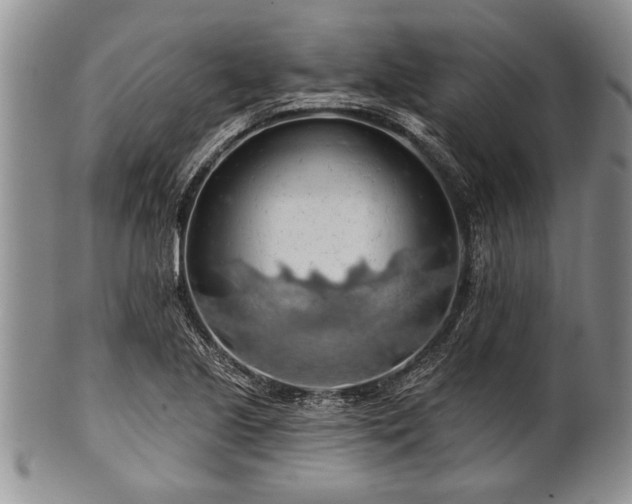 X0000100781221200806261621