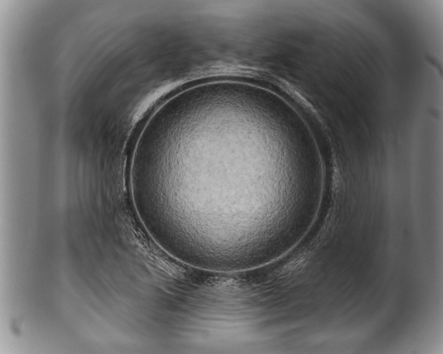 X0000100781222200806261621