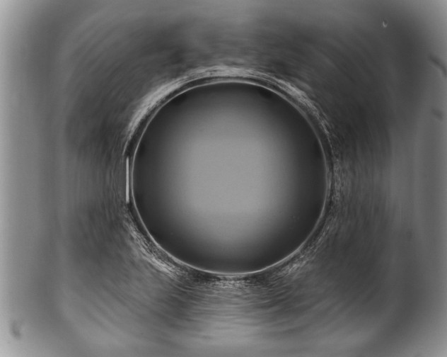 X0000100781223200806261621