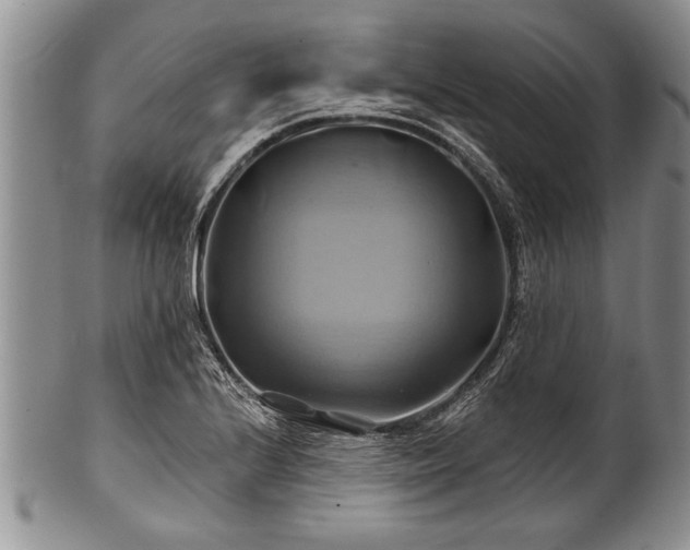 X0000100781224200806261621