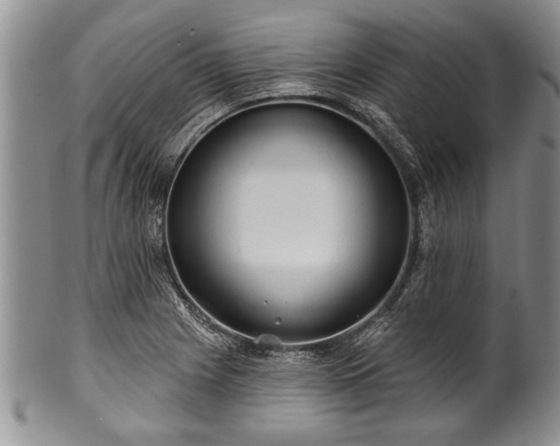 X0000100781225200806261621