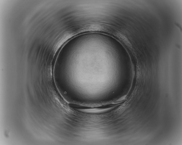 X0000100781226200806261621