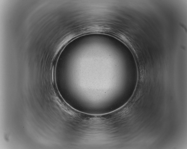 X0000100781227200806261621