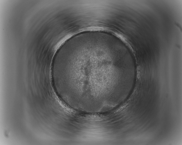 X0000100781229200806261621