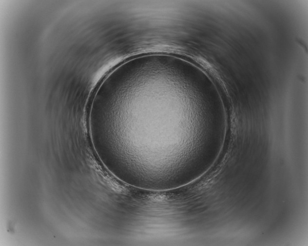 X0000100781230200806261621