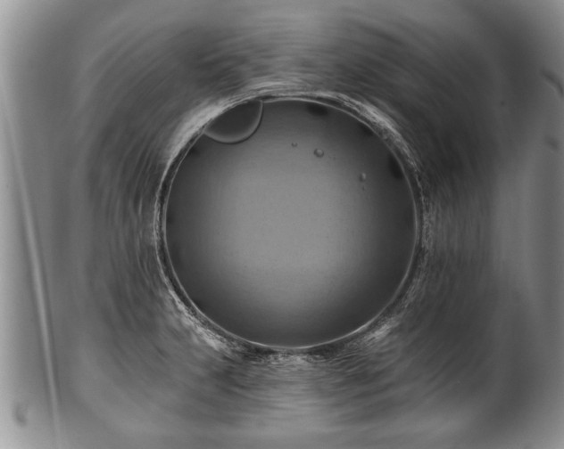 X0000100781231200806261621