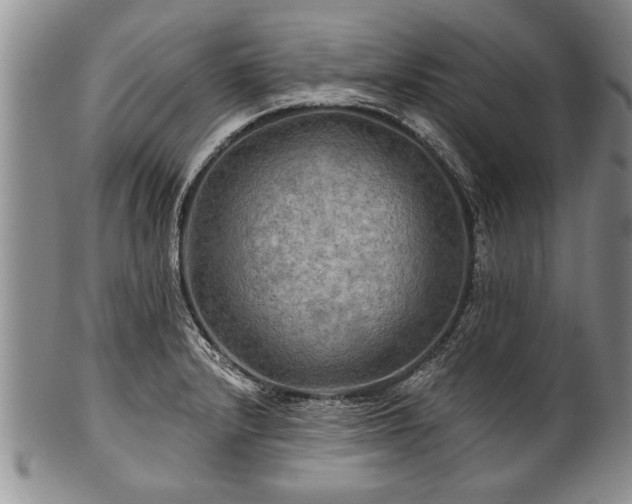 X0000100781232200806261621