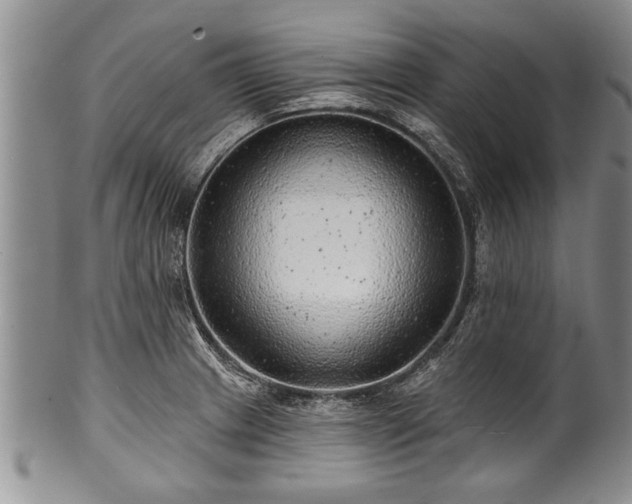 X0000100781233200806261621