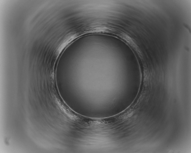 X0000100781234200806261621