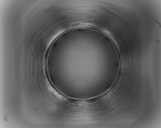 X0000100781235200806261621