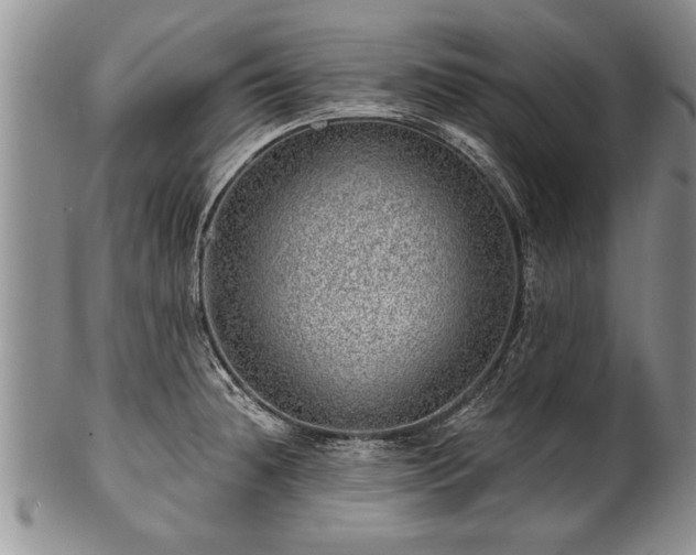 X0000100781236200806261621