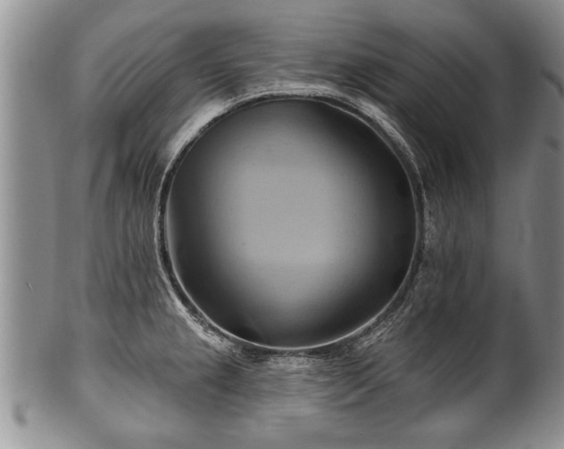 X0000100781237200806261621