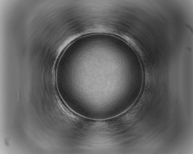 X0000100781238200806261621