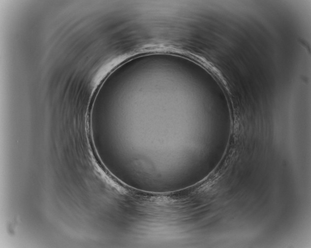 X0000100781239200806261621