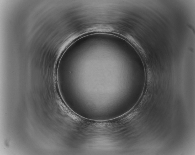 X0000100781240200806261621