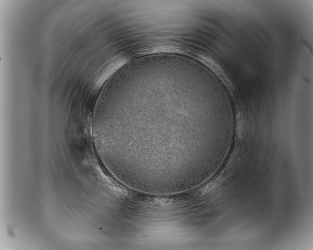 X0000100781241200806261621