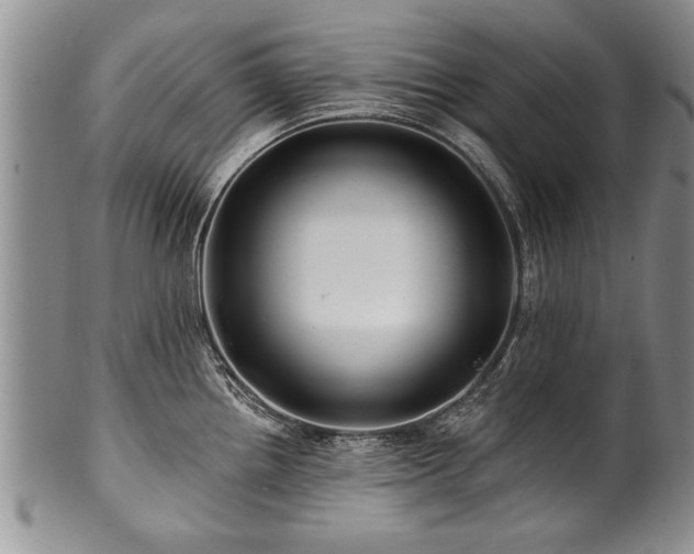 X0000100781242200806261622