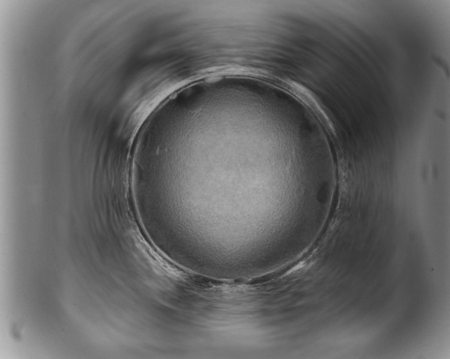 X0000100781244200806261622