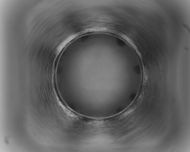 X0000100781245200806261622