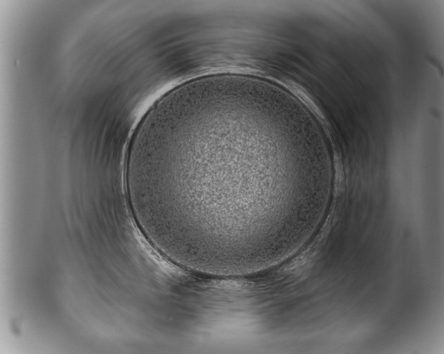 X0000100781246200806261622