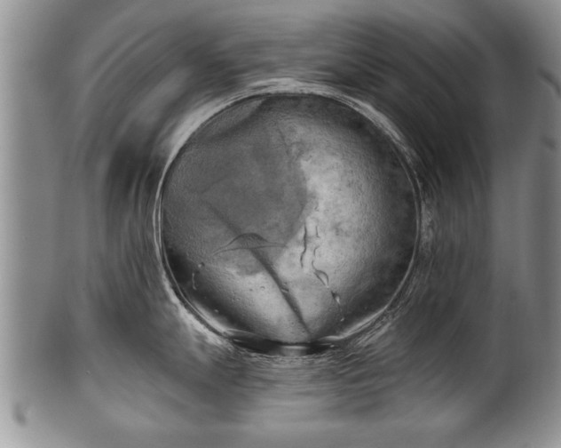 X0000100781247200806261622