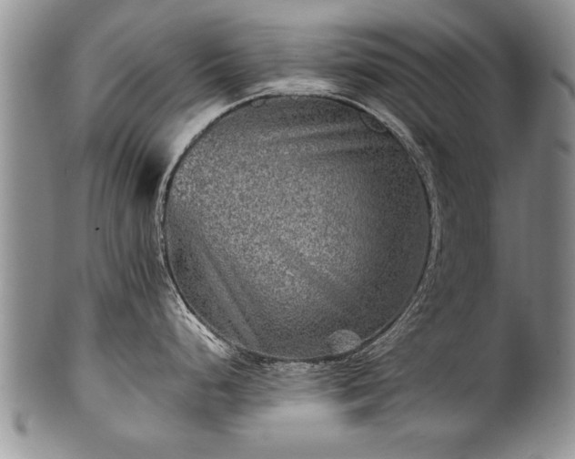 X0000100781248200806261622