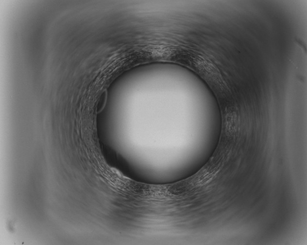 X0000100781249200806261621