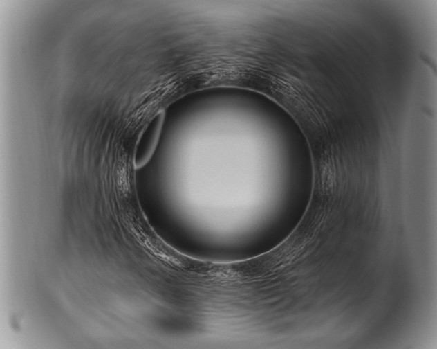 X0000100781250200806261621