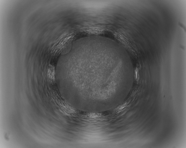 X0000100781251200806261621