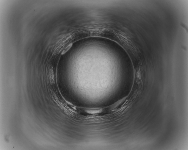 X0000100781252200806261621