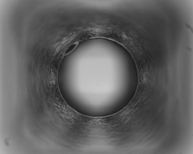 X0000100781253200806261621