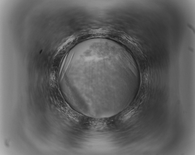 X0000100781254200806261621