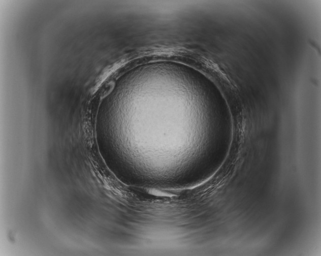 X0000100781256200806261621