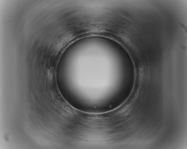 X0000100781257200806261621