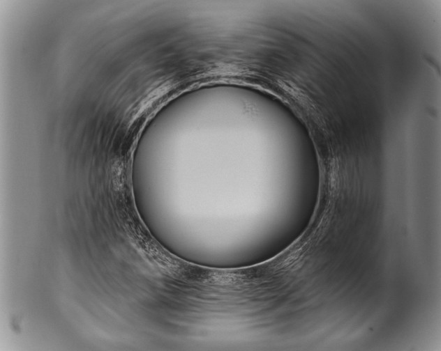 X0000100781258200806261621