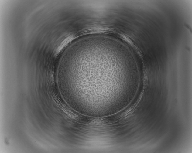 X0000100781259200806261621