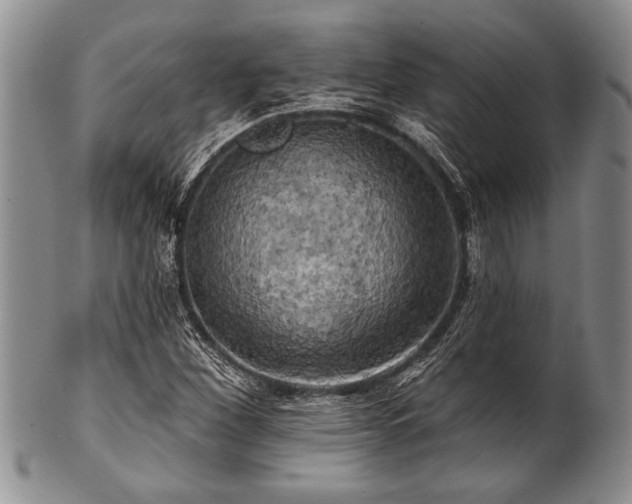 X0000100781260200806261621