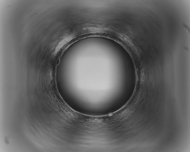 X0000100781261200806261621