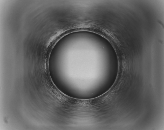 X0000100781262200806261621