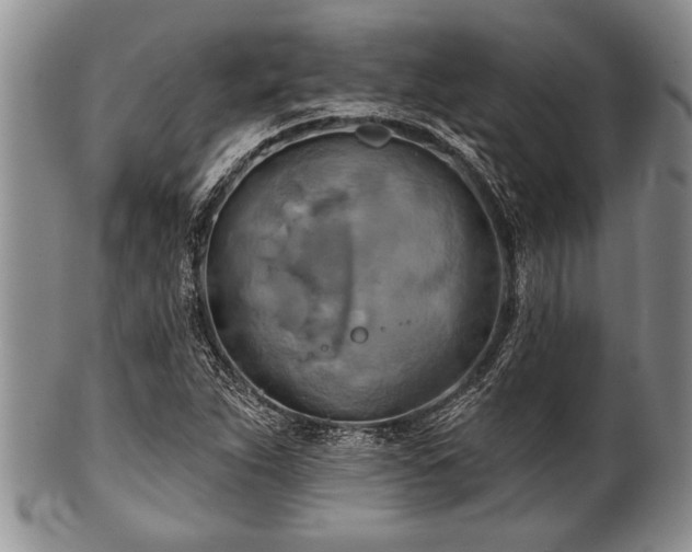 X0000100781263200806261621