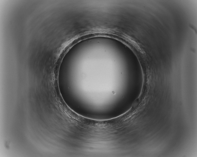 X0000100781264200806261621