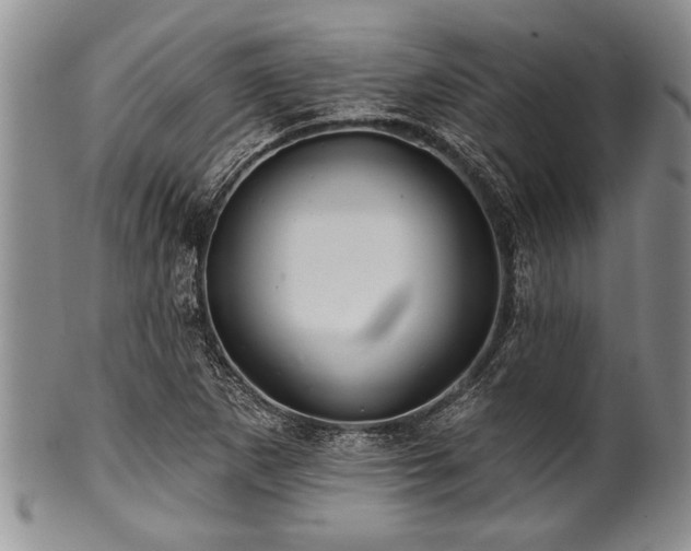 X0000100781265200806261621