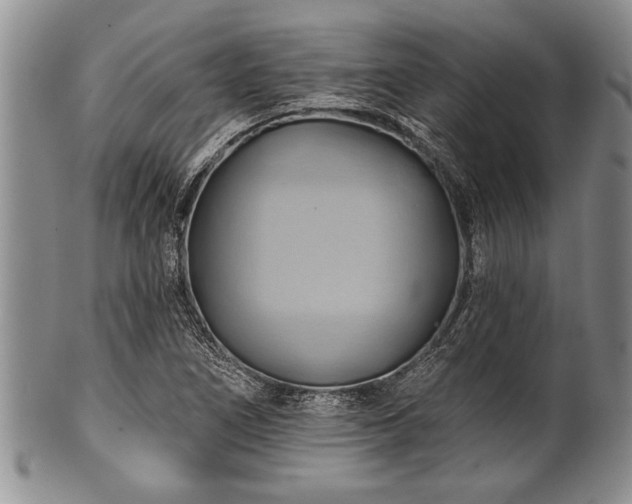 X0000100781266200806261621